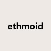 ethmoid是什么意思