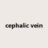 cephalic vein是什么意思