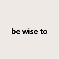 be wise to是什么意思