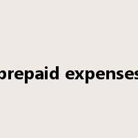 prepaid expenses是什么意思