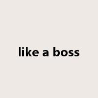 like a boss是什么意思
