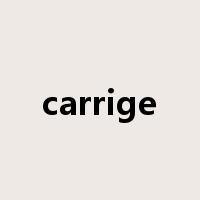 carrige是什么意思