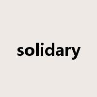 solidary是什么意思