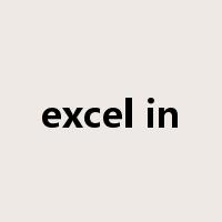 excel in是什么意思