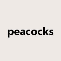 peacocks是什么意思