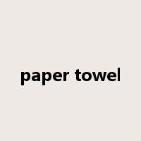 paper towel是什么意思