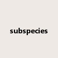 subspecies是什么意思