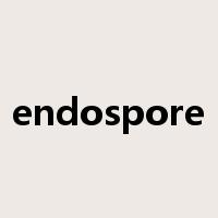 endospore是什么意思