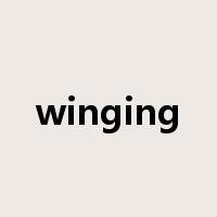 winging是什么意思