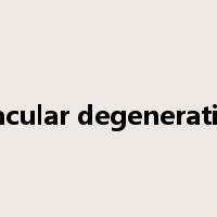 macular degeneration是什么意思