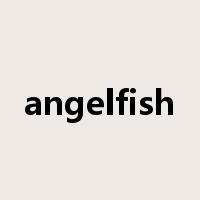 angelfish是什么意思