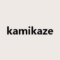kamikaze是什么意思