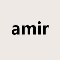 amir是什么意思