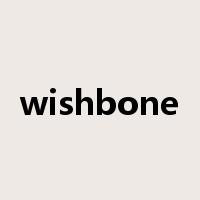 wishbone是什么意思