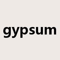 gypsum是什么意思