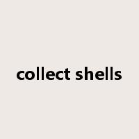 collect shells是什么意思