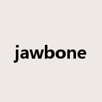 jawbone是什么意思