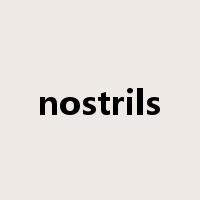 nostrils是什么意思