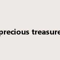 precious treasure是什么意思