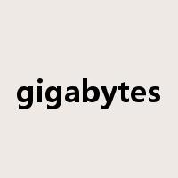 gigabytes是什么意思
