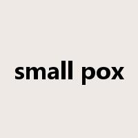 small pox是什么意思