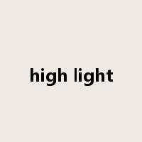 high light是什么意思