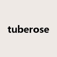tuberose是什么意思