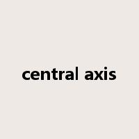 central axis是什么意思