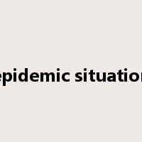 epidemic situation是什么意思
