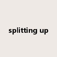 splitting up是什么意思