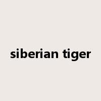 siberian tiger是什么意思