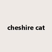 cheshire cat是什么意思