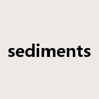 sediments是什么意思