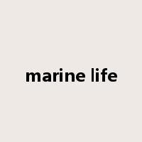 marine life是什么意思