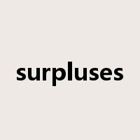 surpluses是什么意思