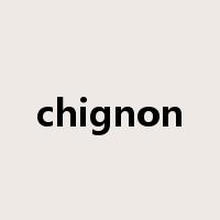 chignon是什么意思