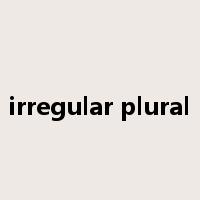 irregular plural是什么意思