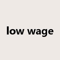 low wage是什么意思