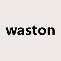 waston是什么意思