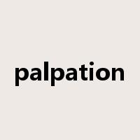 palpation是什么意思