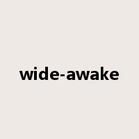 wide-awake是什么意思