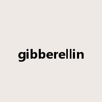 gibberellin是什么意思