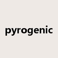 pyrogenic是什么意思