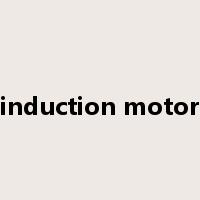 induction motor是什么意思