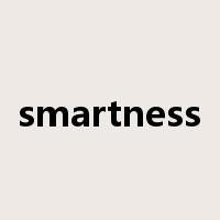 smartness是什么意思