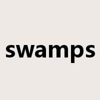 swamps是什么意思
