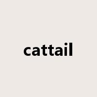 cattail是什么意思