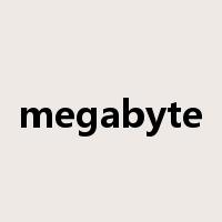 megabyte是什么意思