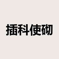 插科使砌是什么意思