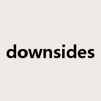 downsides是什么意思